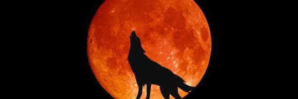Jifem🐺's banner