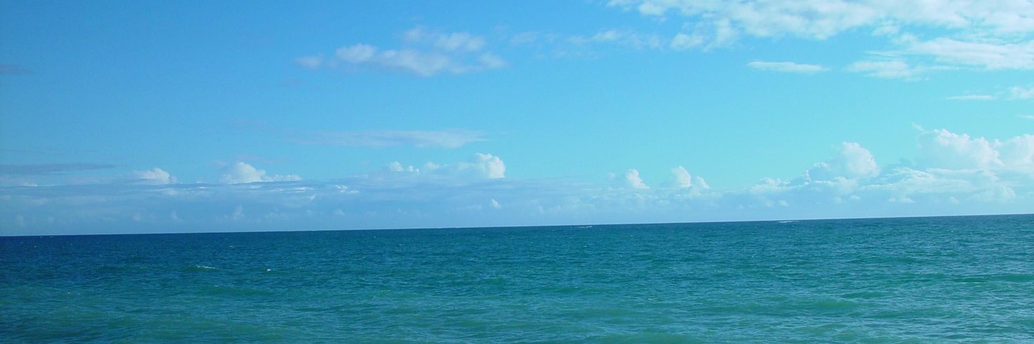 MrPiede's profile banner image