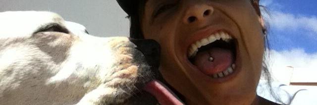 coraljoice's profile banner image