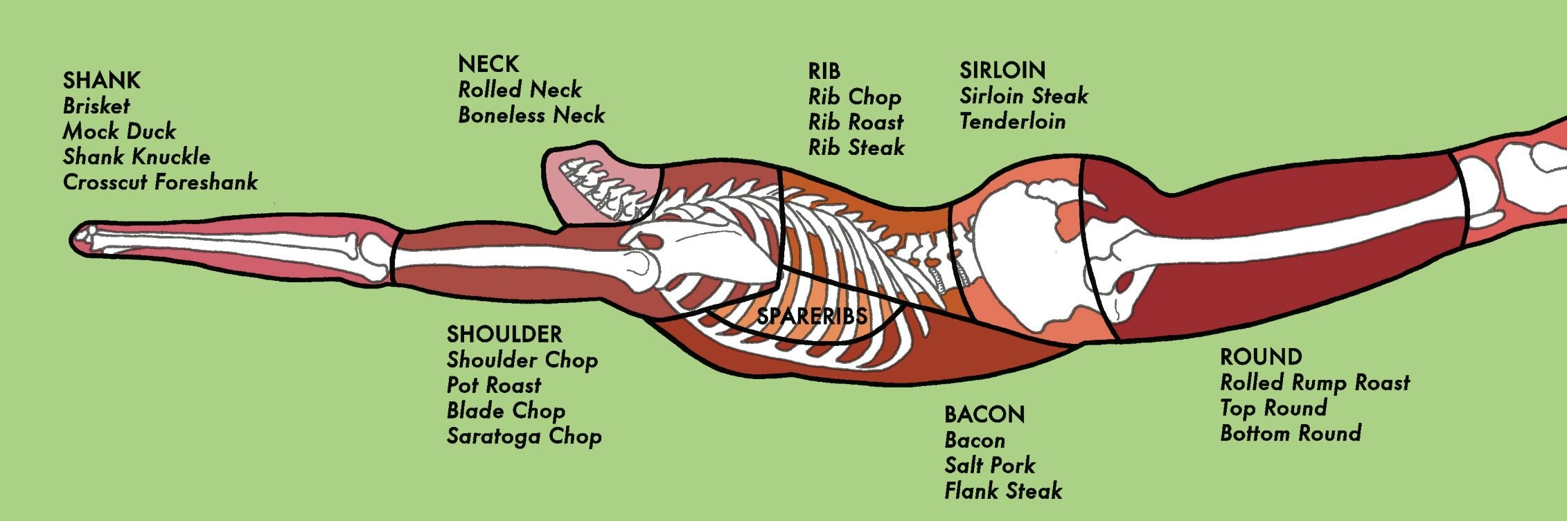 Kriota Willberg banner