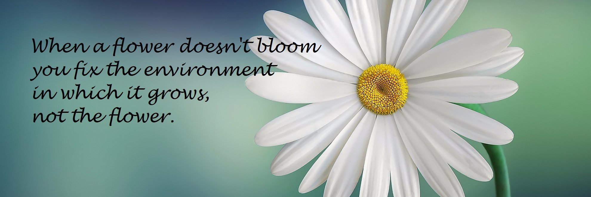 Tammy Hubbard banner