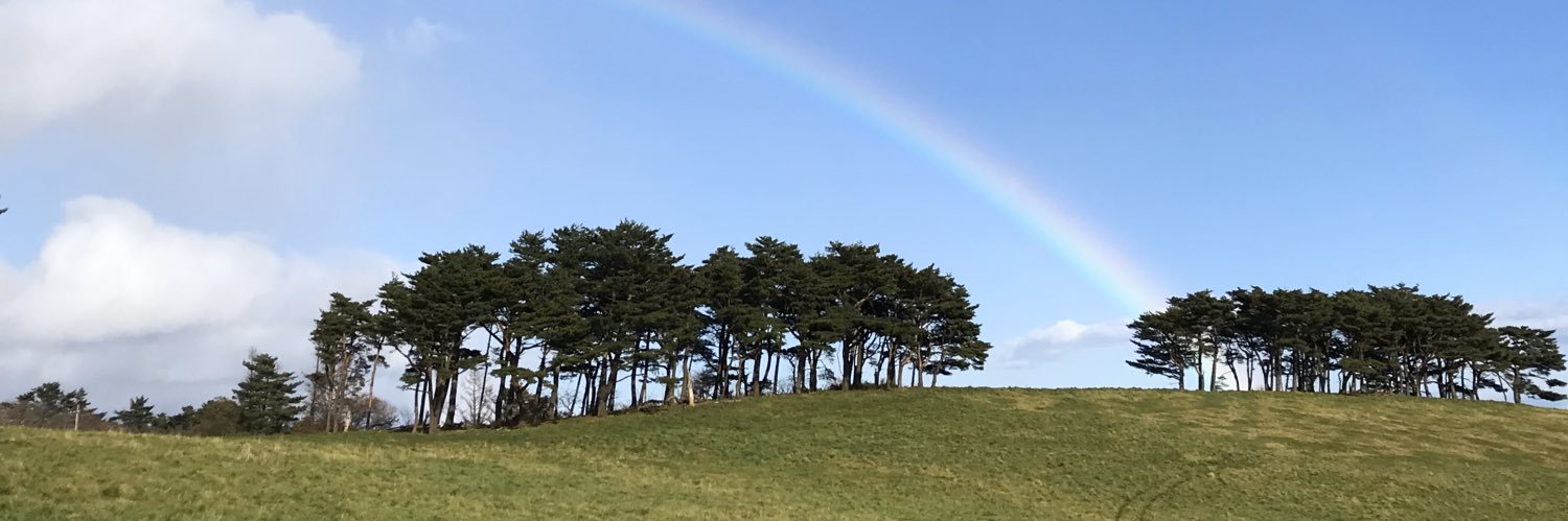 chums_no9's profile banner image