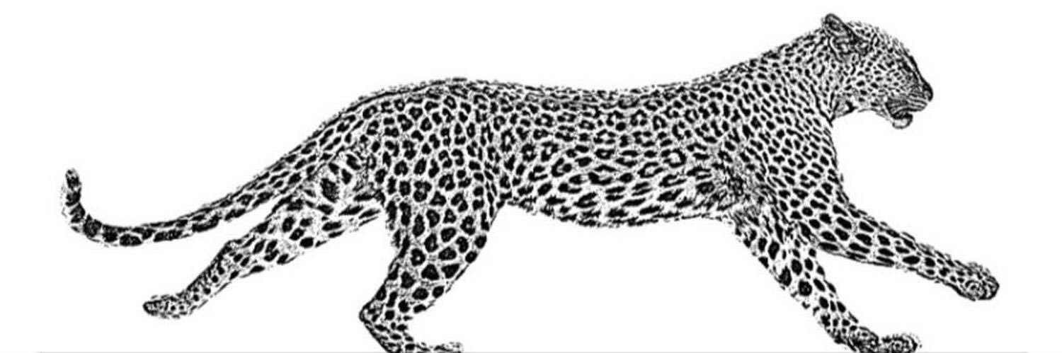 BAhi_Q8's profile banner image
