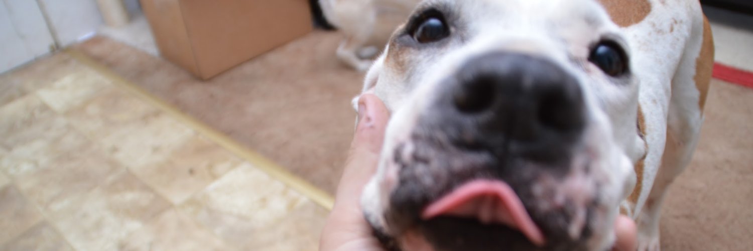 Andrew Baldwin banner