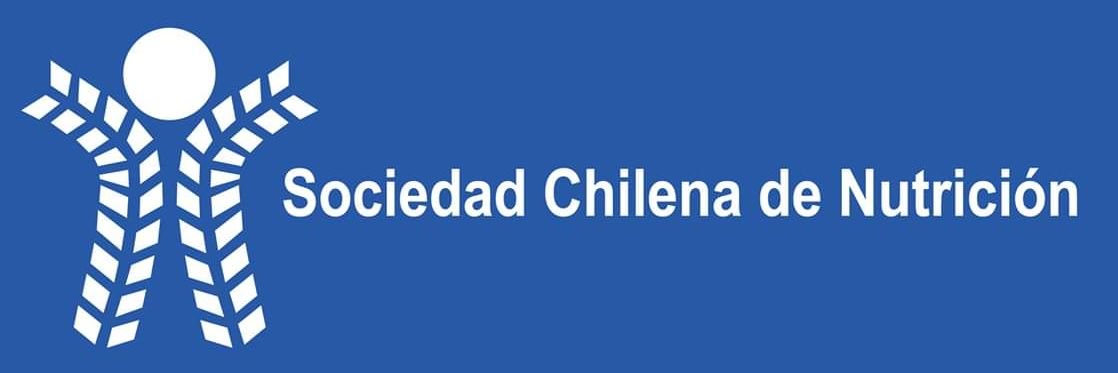 sochinut banner