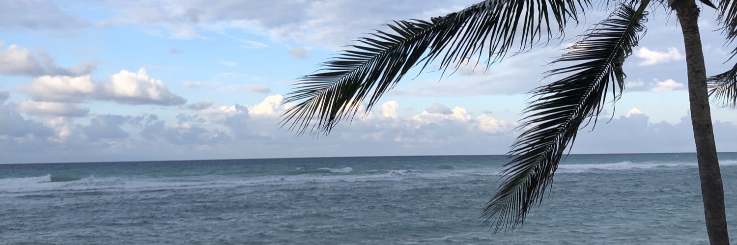StephRingrose's profile banner image