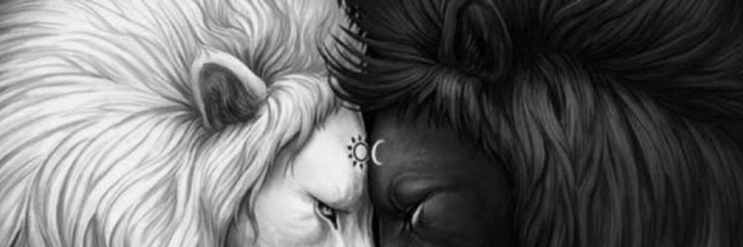 losnoilerua's profile banner image