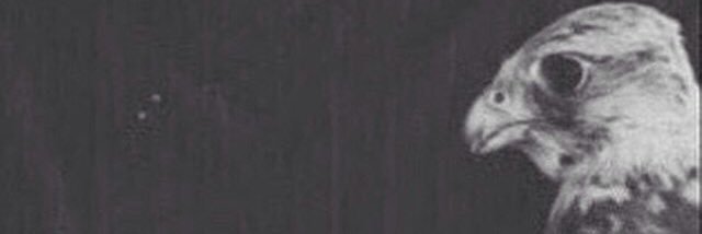 3marAlhrbi99's profile banner image