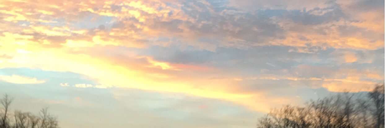 e_hoffman1030's profile banner image