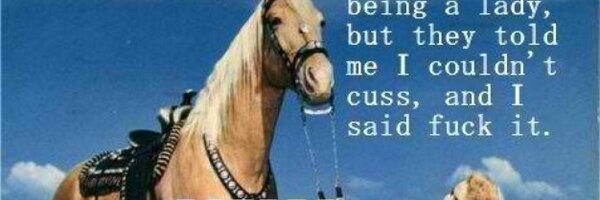 DipsAndHeels Profile Banner