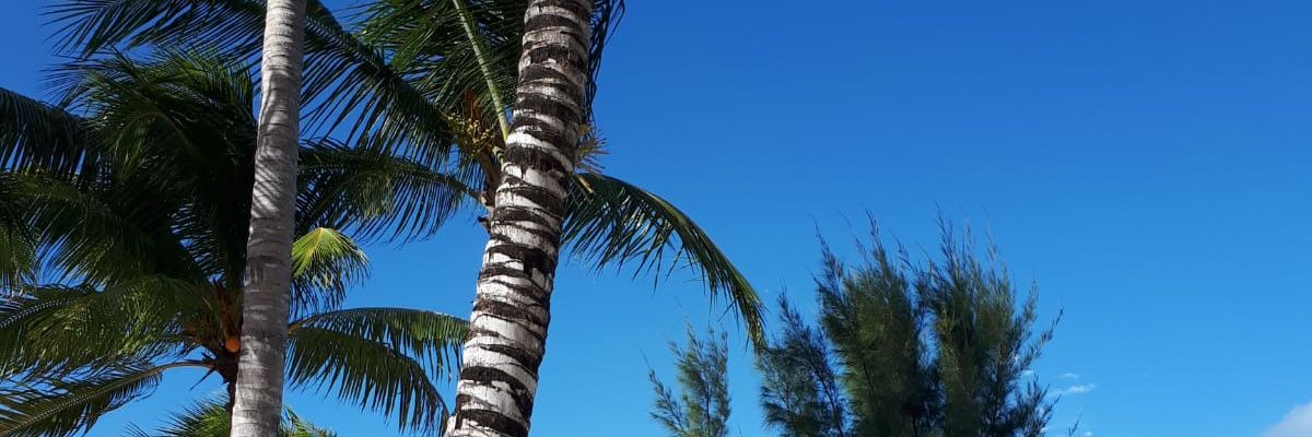 inpakpapier's profile banner image