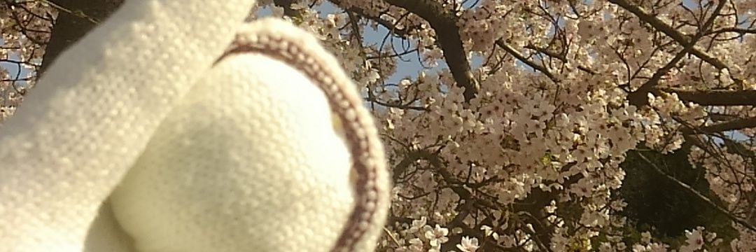 軍手ちゃん＆mobおじさん banner