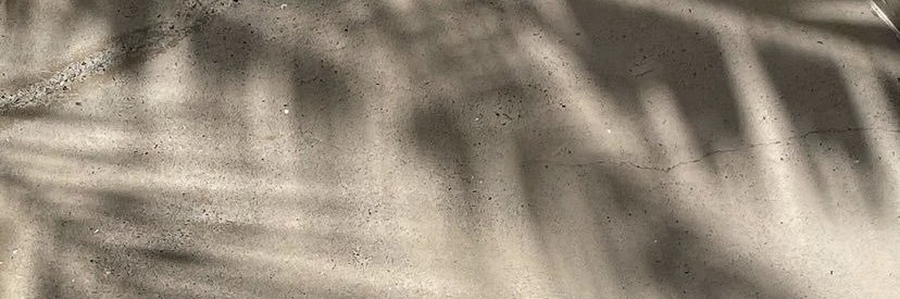 OliPeace_'s profile banner image