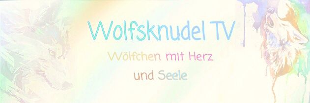 AnimeWolfchen's profile banner image