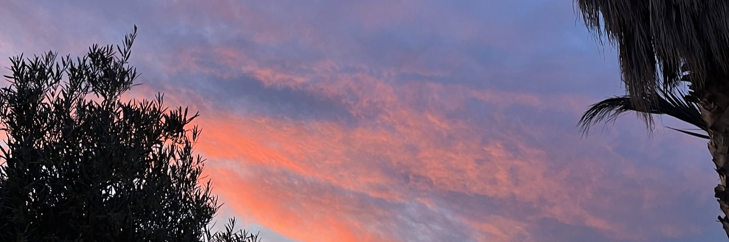 TLRocio's profile banner image