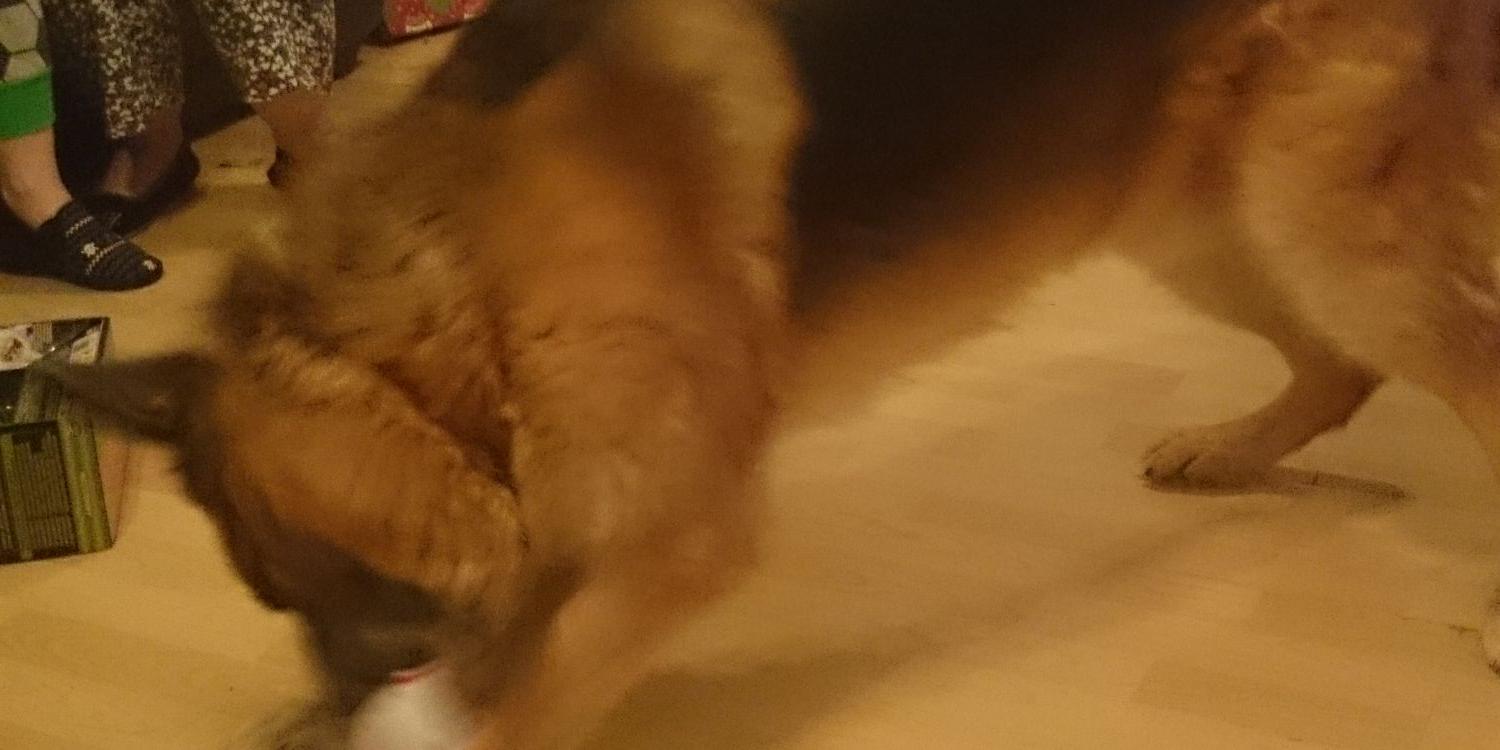 Blueballs72's profile banner image