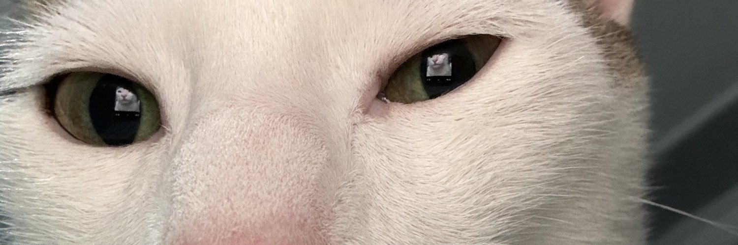 cisemyildizbas's profile banner image