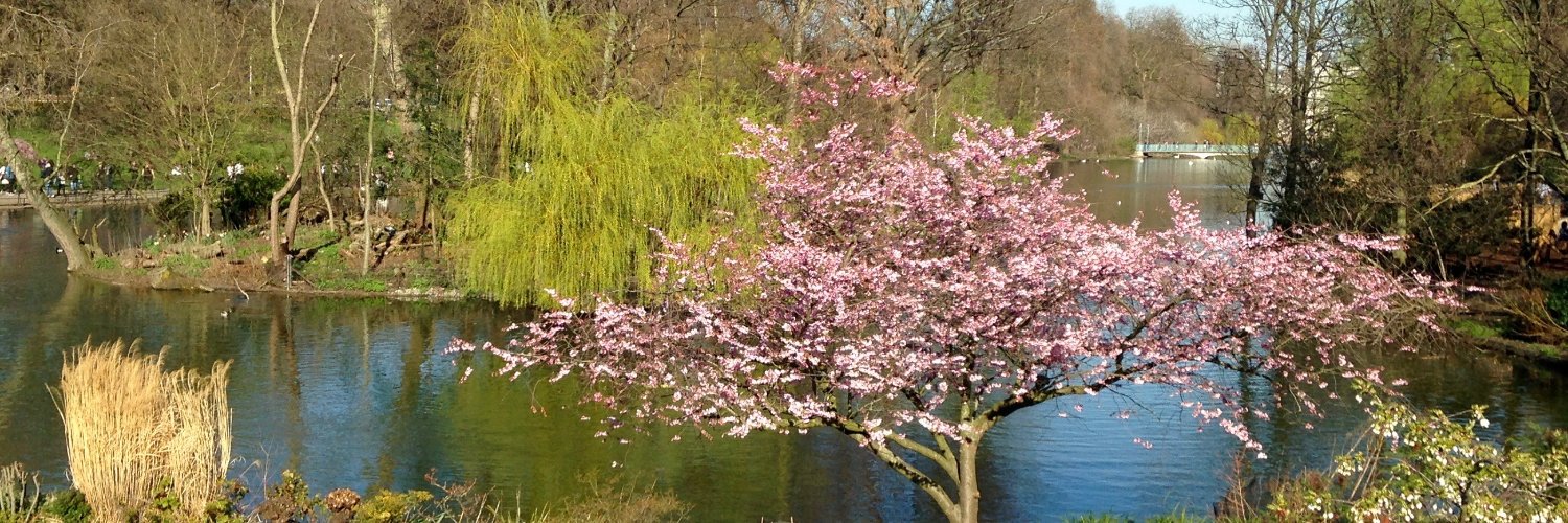 Marco Gabriel Serrano banner