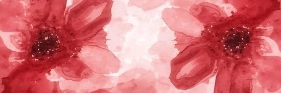 busrabtd's profile banner image