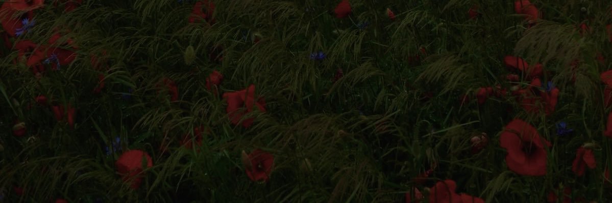 Baila. banner