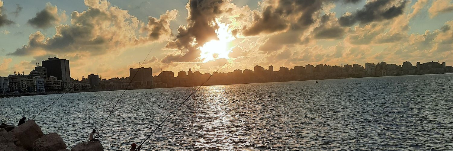 lostinfj's profile banner image