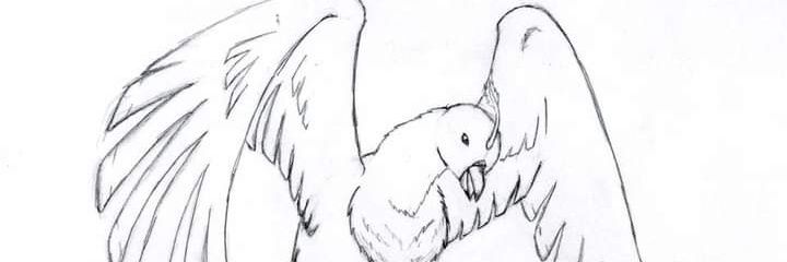 andykirsch1's profile banner image