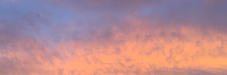 morganandrich's profile banner image