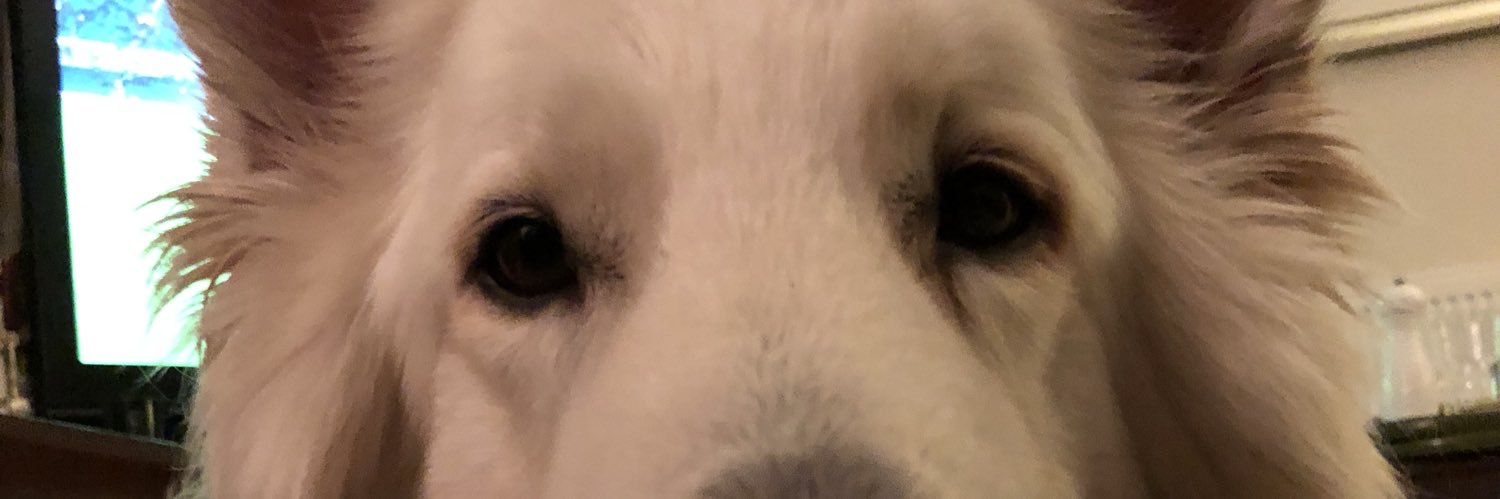 rozzteea's profile banner image