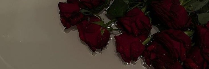 roussmariegp's profile banner image