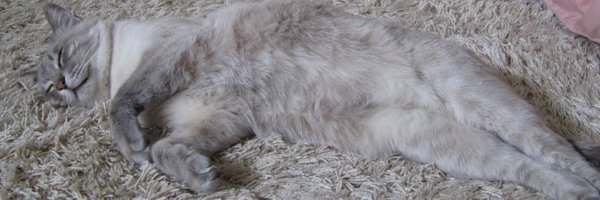 udn_f Profile Banner