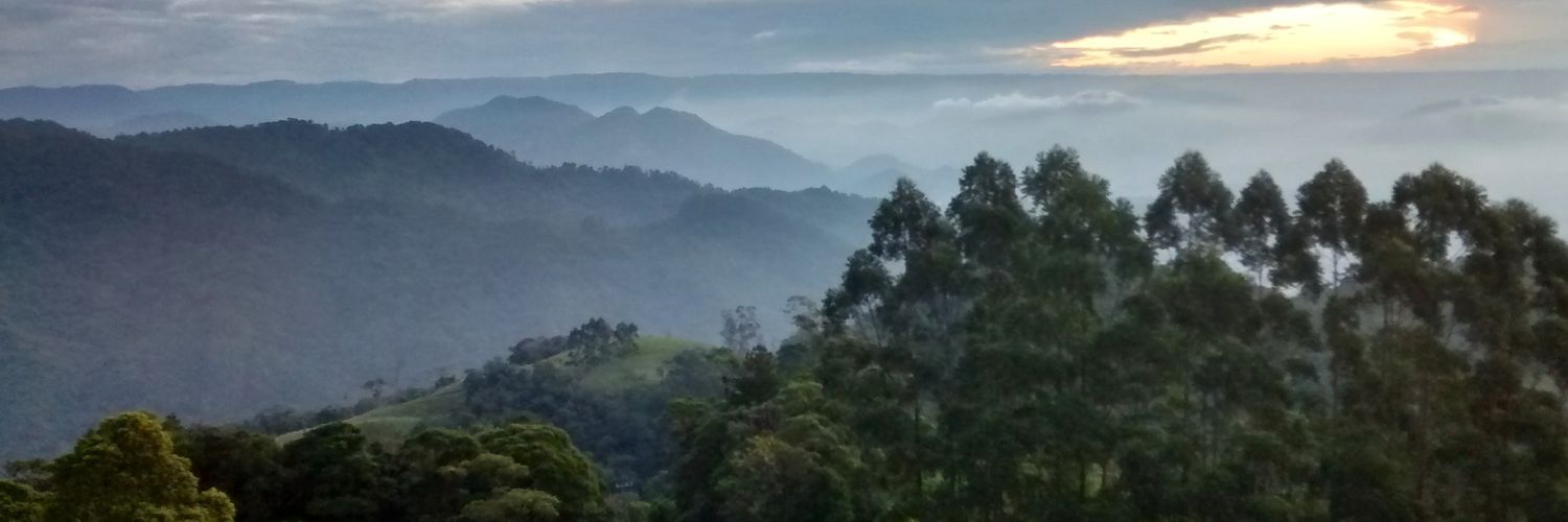 _dadileski's profile banner image