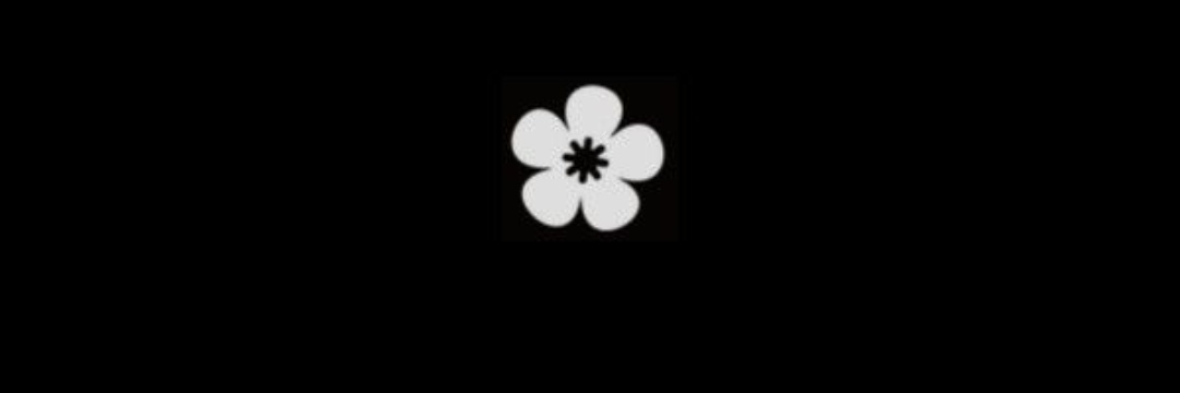 ce__cii's profile banner image