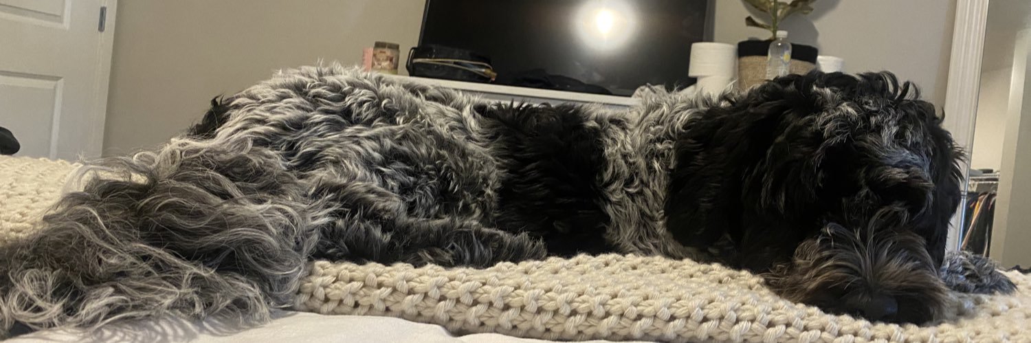 nicoleemmick's profile banner image