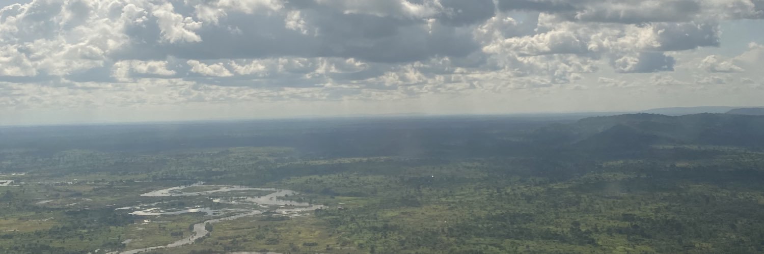 Francesca Caruso banner