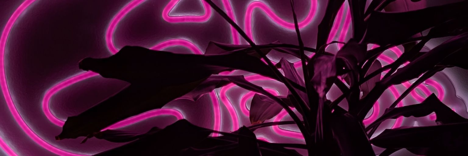 Václav Kozák banner