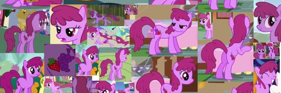 Matcha banner