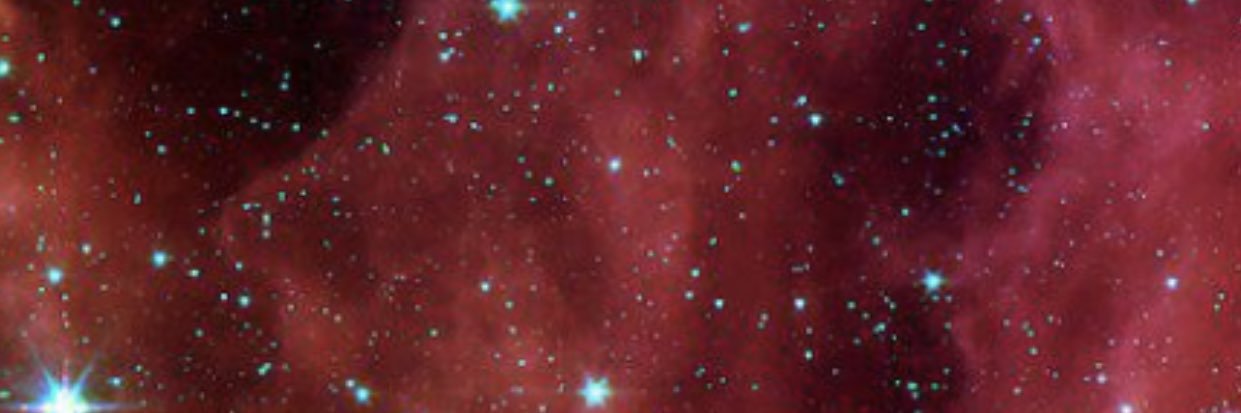 shakarea's profile banner image