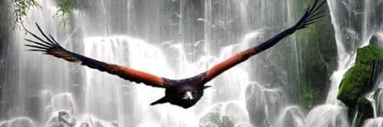 angeles_46's profile banner image