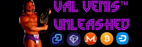 ValVenisEnt Profile Banner