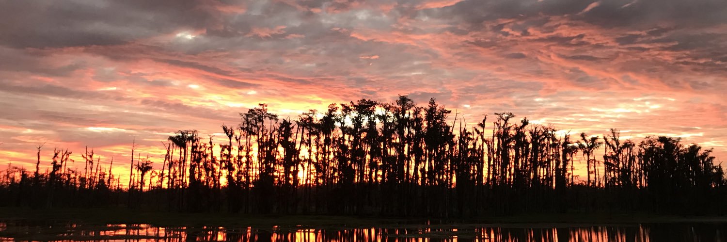evthibodeaux's profile banner image