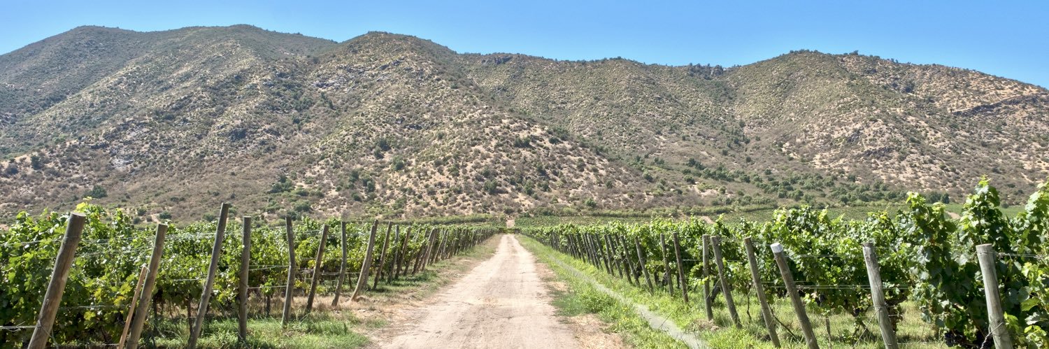 SantaCruzChile's profile banner image