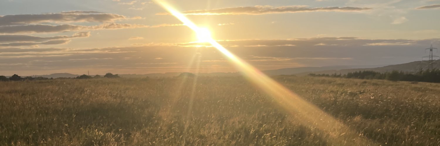 bethanyrawesx's profile banner image