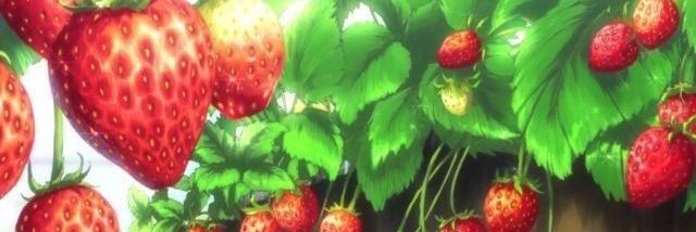 sunkiprived's profile banner image