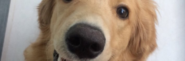 Melisaa222's profile banner image