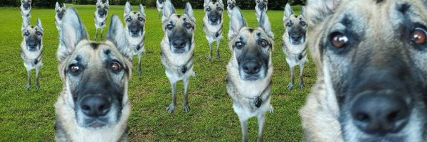 SadlyJustAL Profile Banner