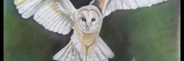 Terrimum's profile banner image