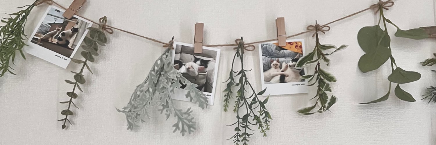 𝗺𝗲𝗴𝘂𝗺𝗶 banner