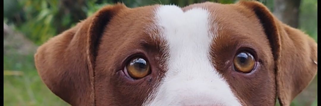 _lulums's profile banner image