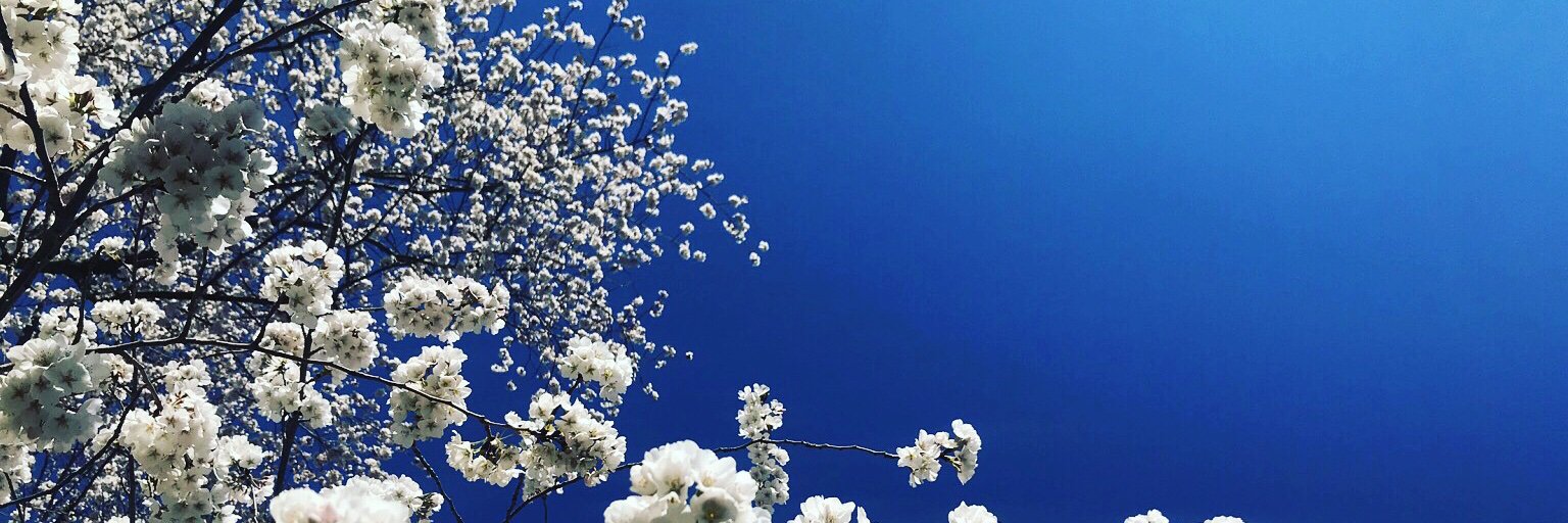 JuniperBerryJen's profile banner image