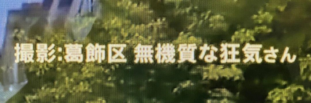 無機質な狂気 banner